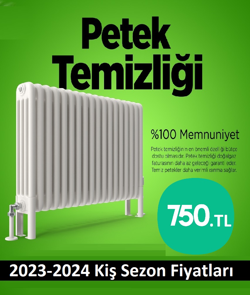 Beykoz Petek Temizliği Tek Fiyat Teklifi Al